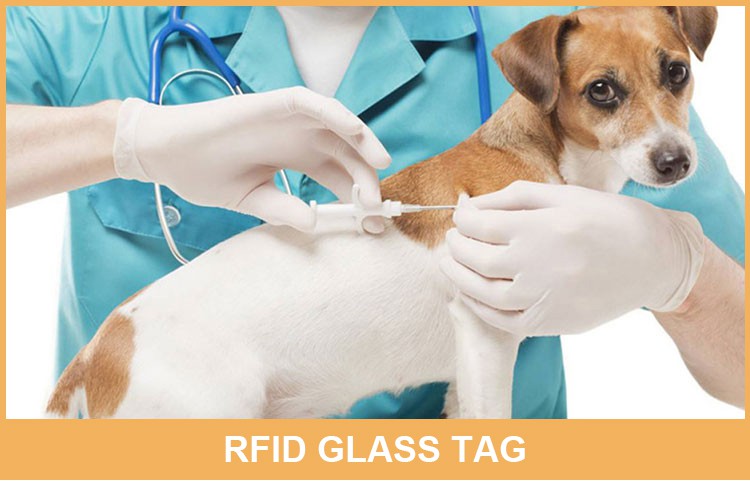 product-750-481 Transponder tag animal microchip
