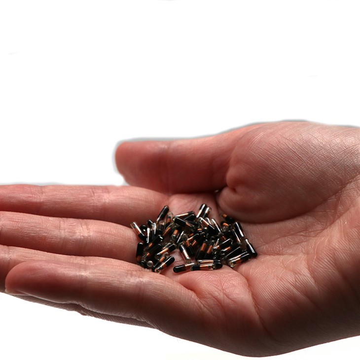 Implanted Microchips